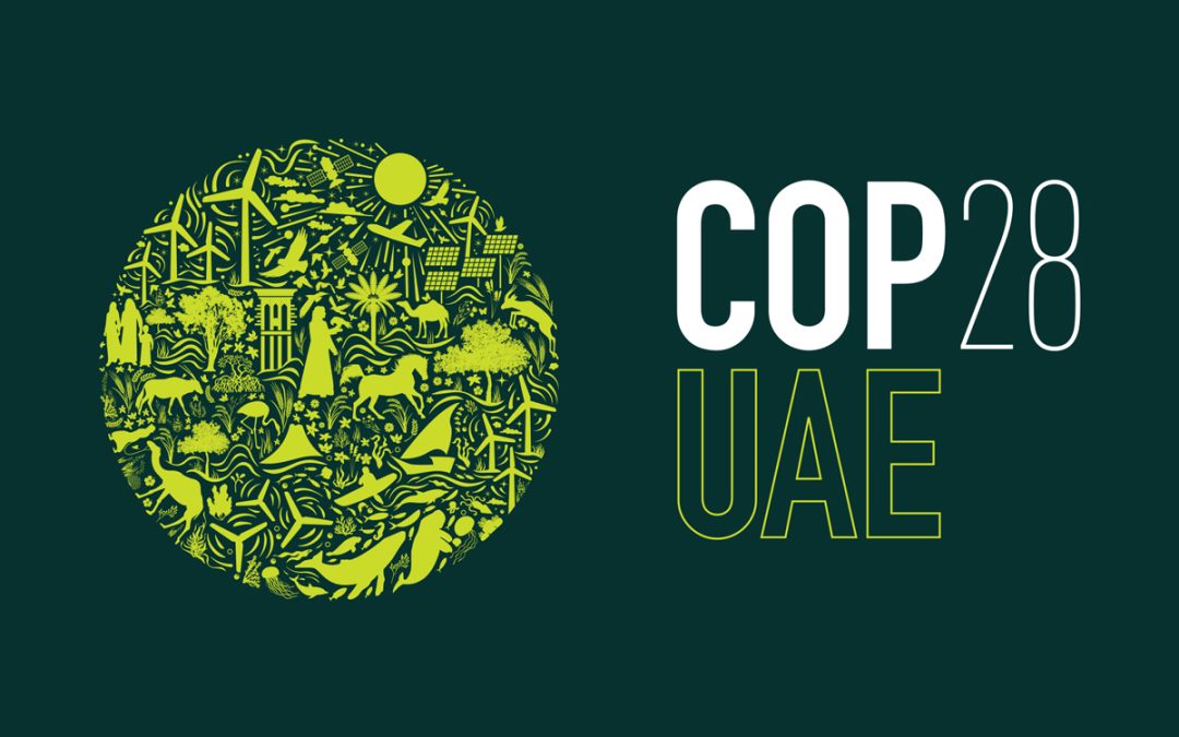 CORDAP at COP28: Supporting climate action to save corals