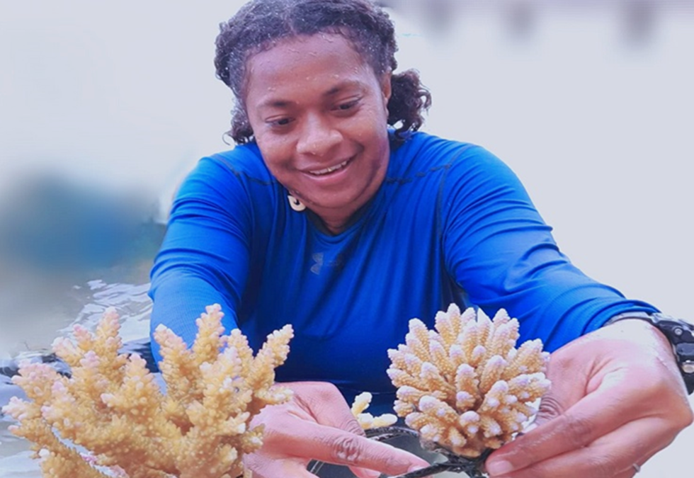 Reefs of Hope: accelerate coral reef adaptation with heat-adapted corals