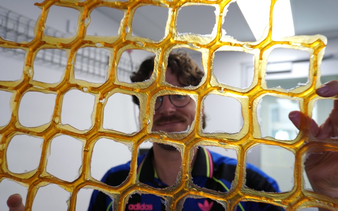 Repairing reefs using a multifunction biobased and biodegradable adhesive
