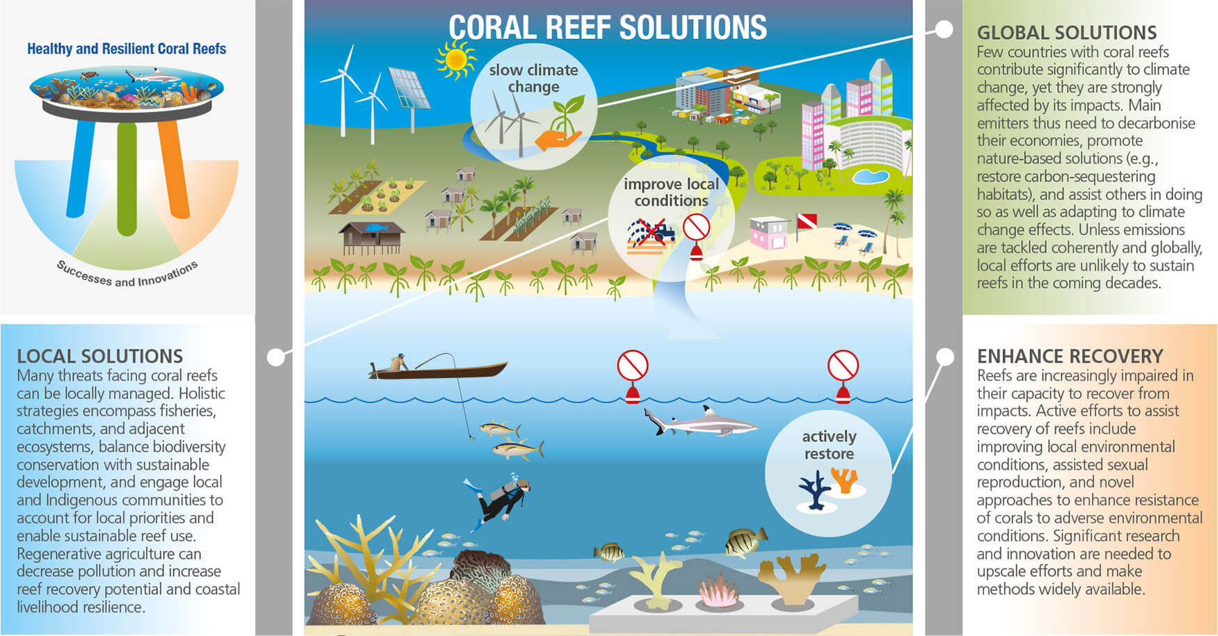 Carbon balance in coral reefs