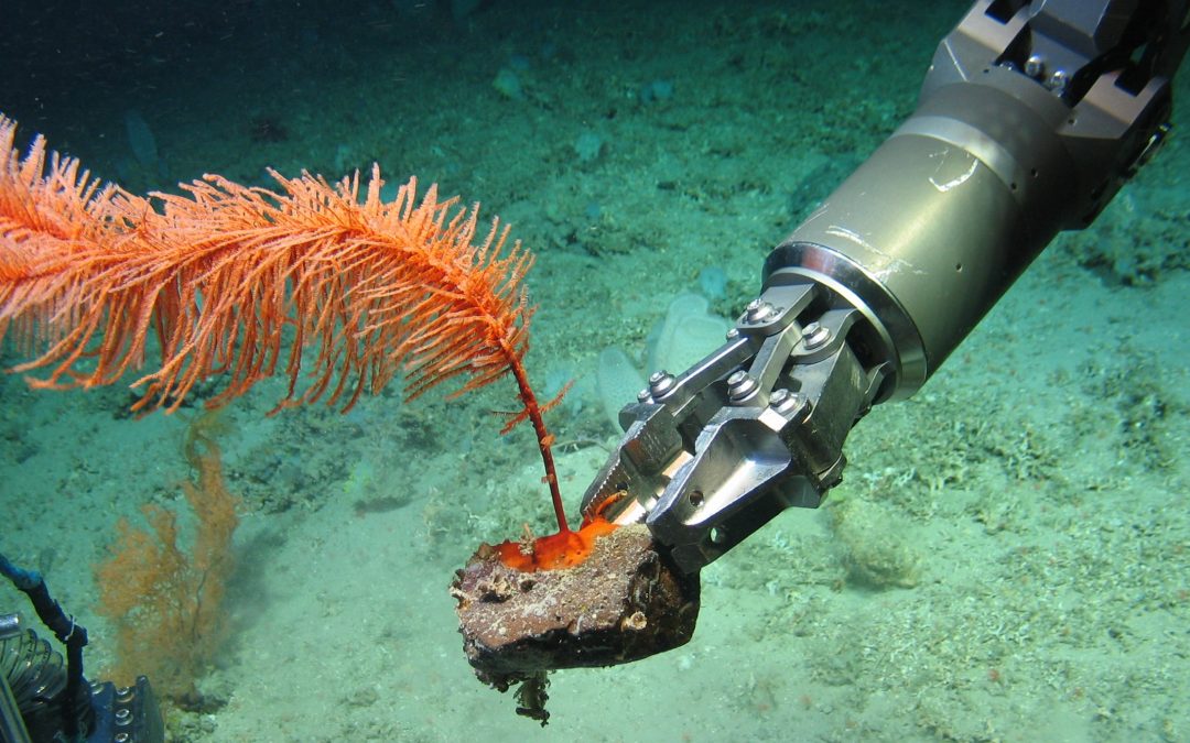 Coral Cartography: mapping Atlantic Cold-Water Corals