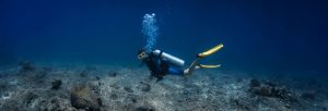 No coral left behind