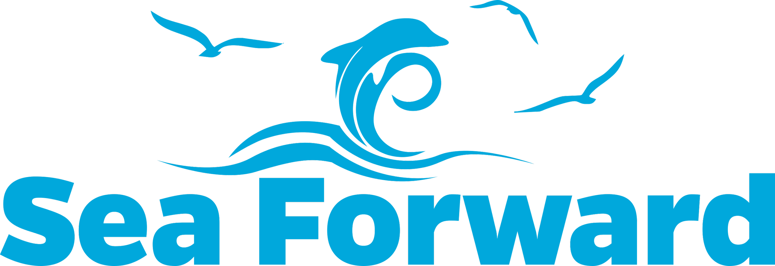 Sea Forward_supporting partner_add