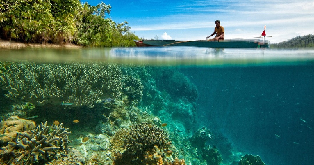 landscape with coral reef and fisherman