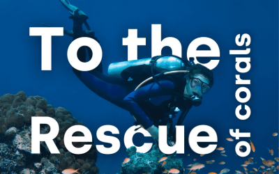 New web series “To the Rescue of Corals” unveils the future of coral conservation and restoration