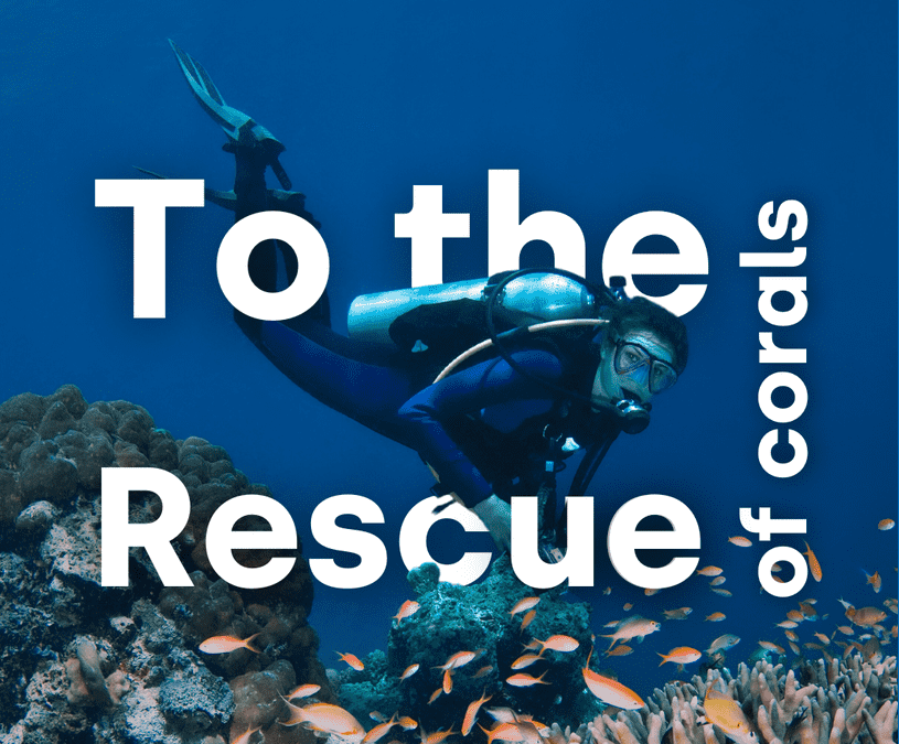 New web series “To the Rescue of Corals” unveils the future of coral conservation and restoration